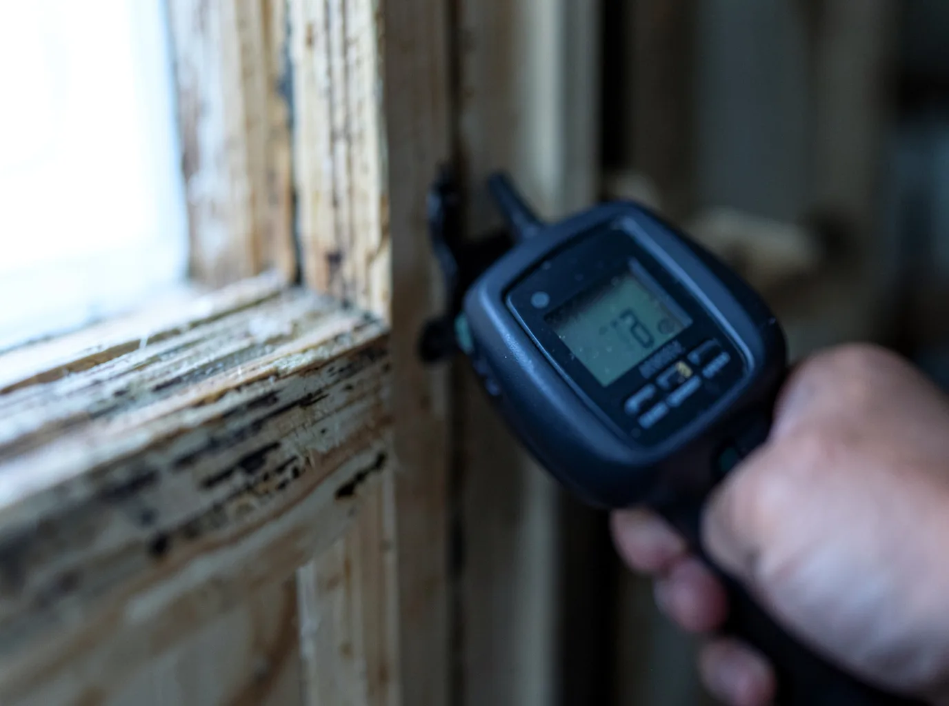 Moisture Inspection And Documentation in Roanoke, LA